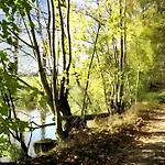 Charming House In Viroinval Forest - Sauna Tatil Evi