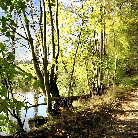 Charming House In Viroinval Forest - Sauna Casa vacanze